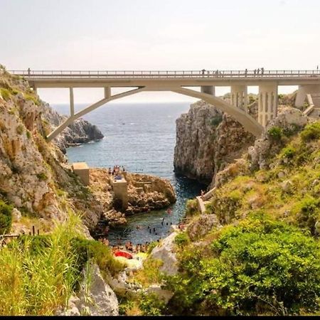 Casa Vacanze "Il Carrubo" Галяно дел Капо Екстериор снимка